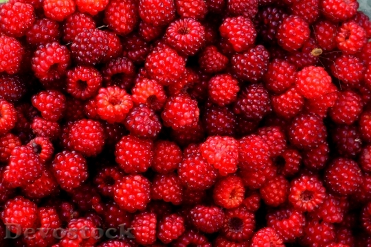 Devostock Raspberry Red Berry Fruit