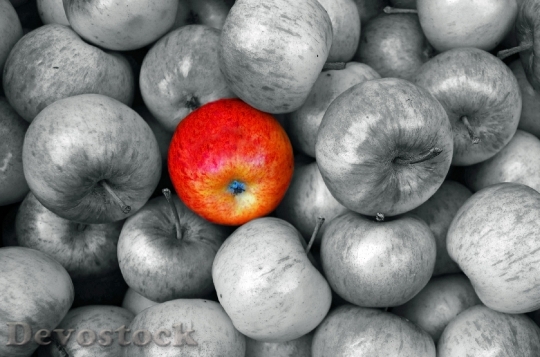 Devostock Red Apple Apples Fruit