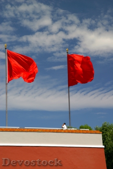 Devostock Red Flag Socialism Flagpole 3
