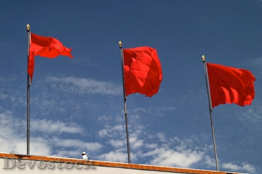 Devostock Red Flag Socialism Flagpole