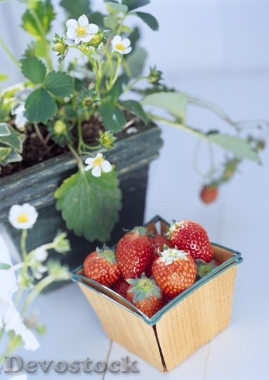 Devostock Ripe Sweet Strawberries In