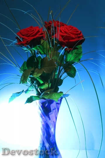 Devostock Rose Vase Blue Light