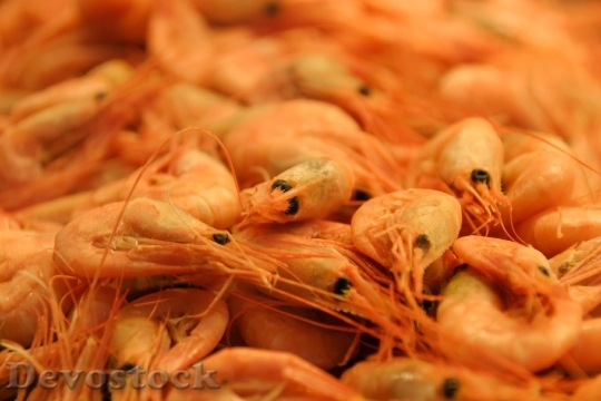 Devostock Shrimp Seafood Eat Market
