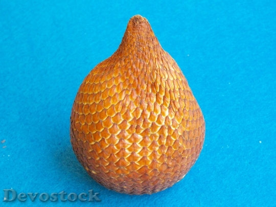 Devostock Snakefruit Salacca Edulis 763094