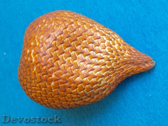 Devostock Snakefruit Salacca Edulis 763095