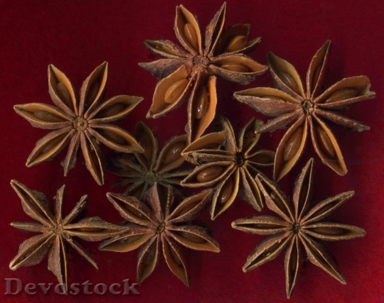 Devostock Star Anise Fruit Seeds