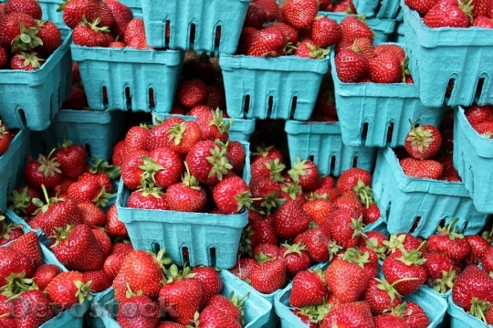 Devostock Strawberries Berries Fresh Fruit