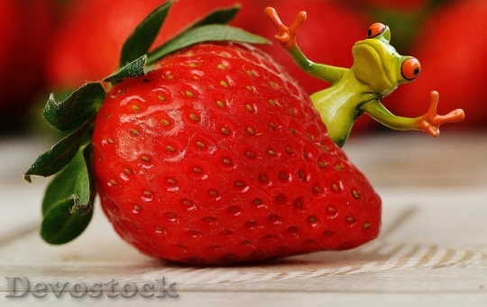 Devostock Strawberries Frog Funny Fruit