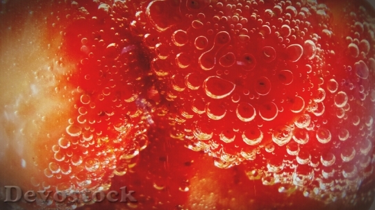 Devostock Strawberries Fruit Garden Berries
