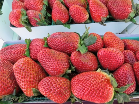 Devostock Strawberries Fruit Red Strawberry