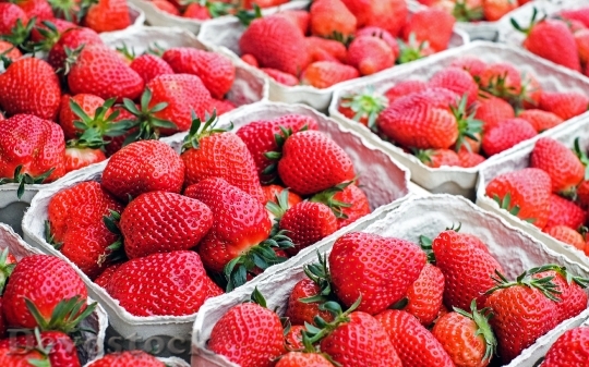 Devostock Strawberries Fruit Red Sweet
