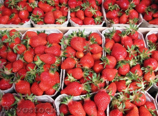 Devostock Strawberries Harvest 248075