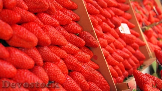 Devostock Strawberries Market Open Market