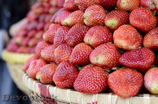 Devostock Strawberries Red Dalat Vietnam 1