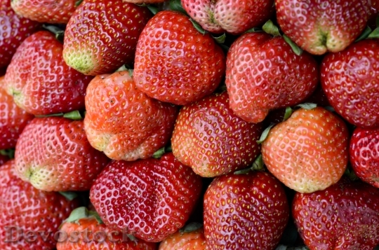 Devostock Strawberries Red Dalat Vietnam