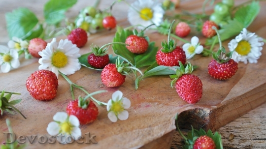 Devostock Strawberries Wild Strawberries Daisy 0