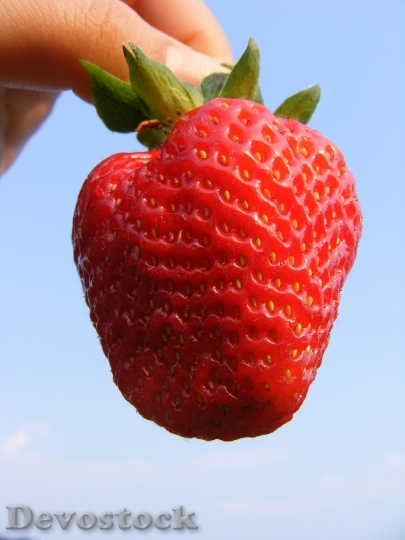 Devostock Strawberry Berry Fresh Red