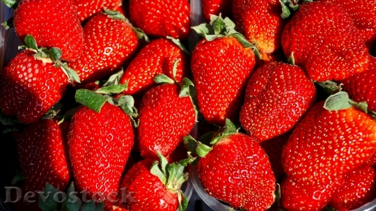 Devostock Strawberry Fruit Spring 700004
