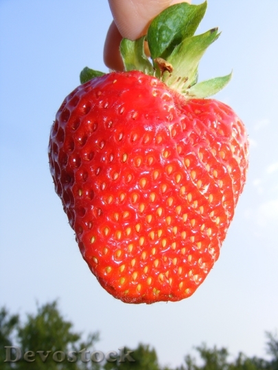 Devostock Strawberry Red Fruit Fresh