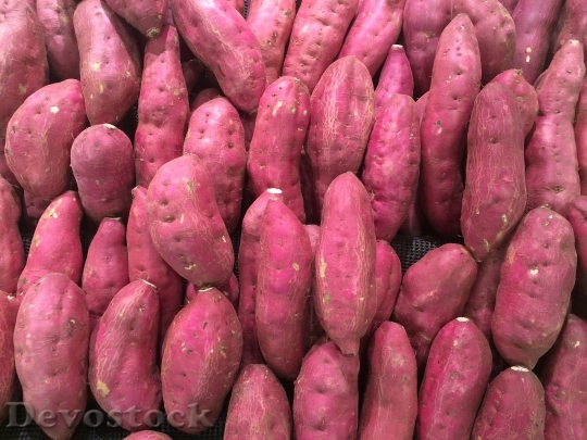 Devostock Sweet Potato Red Purple