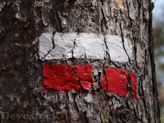 Devostock Tag Wood Flag Red