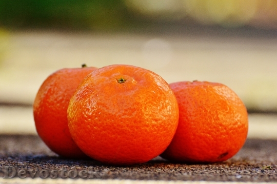Devostock Tangerines Fruit Citrus Fruit 8