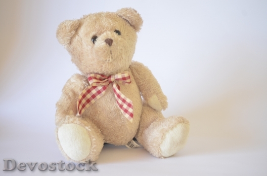 Devostock Teddy Bear Toy Cute 1