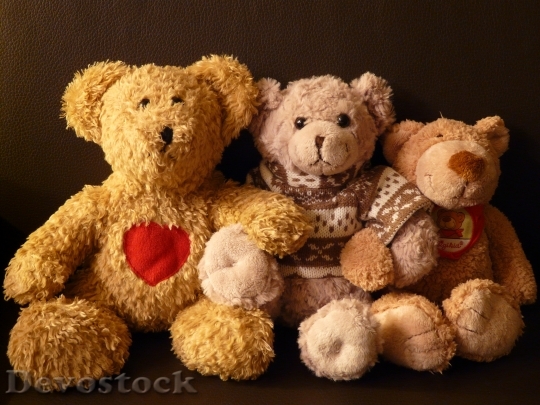 Devostock Teddy Bears Stuffed Animals 0
