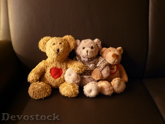 Devostock Teddy Bears Stuffed Animals