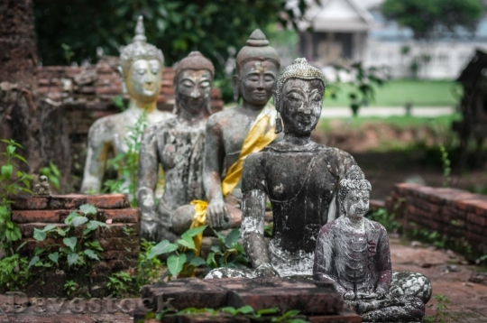 Devostock Thai Buddhism Thailand Religion