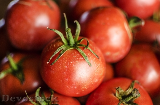 Devostock Tomato Tomatoes Vine Food