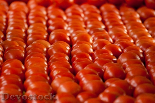 Devostock Tomatoes Fruits Vegetable 1508840