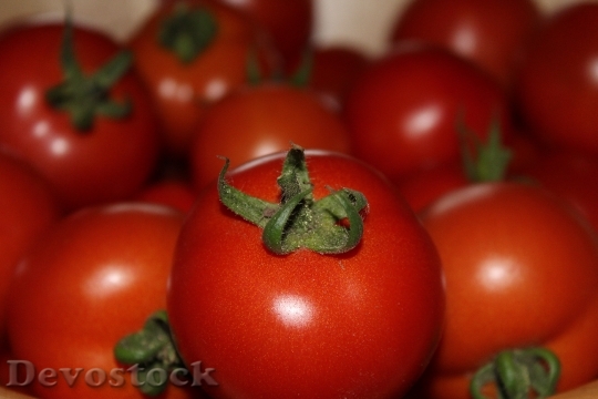 Devostock Tomatoes Red Vegetables Harvest 0