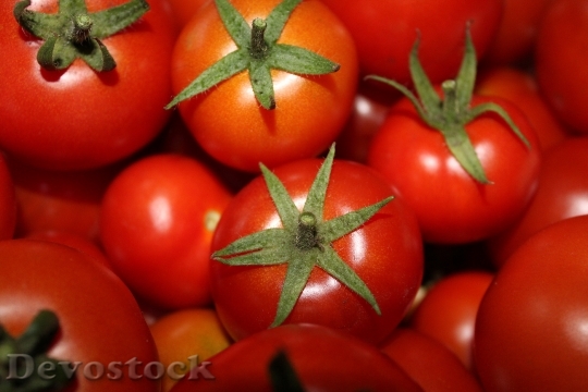 Devostock Tomatoes Red Vegetables Harvest