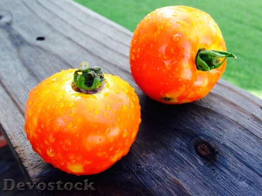 Devostock Tomatoes Vegetable Garden Food