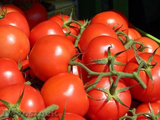 Devostock Tomatoes Vegetables Tomato Green