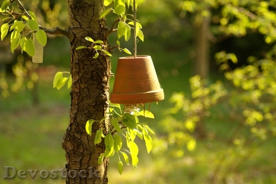 Devostock Tree Hanging Flower Pot