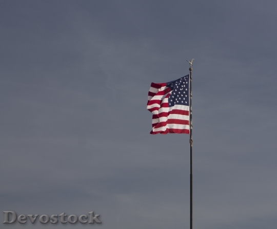 Devostock United States Flag People