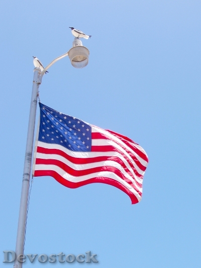Devostock Usa Flag American National
