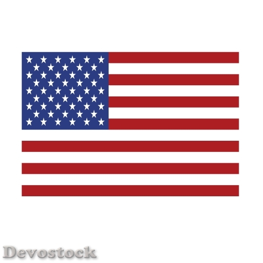 Devostock Usa Vector Flag 971485