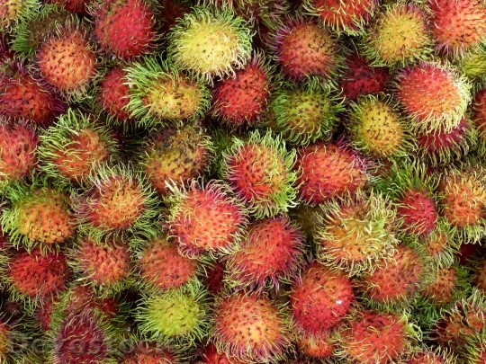 Devostock Vietnam Asia Tropical Fruit 1