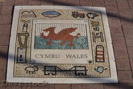 Devostock Wales Emblem National Symbol