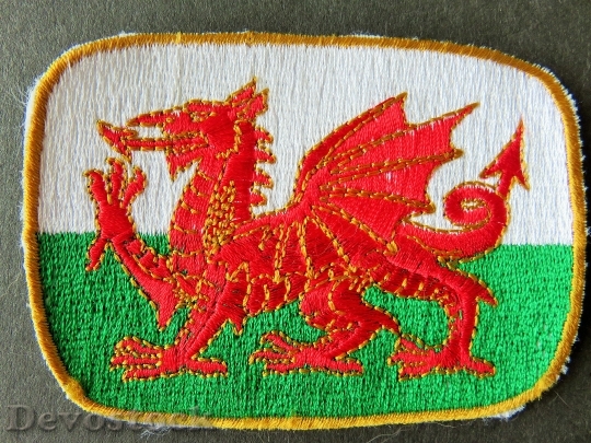 Devostock Wales Welch Dragon Crest