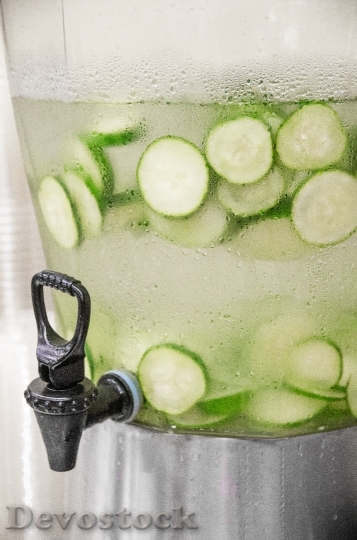 Devostock Water Cucumber Green Healthy