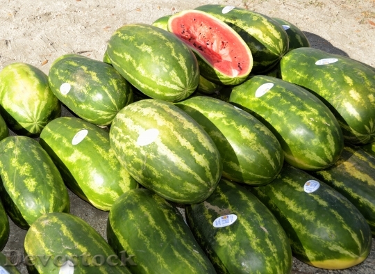 Devostock Water Melon For Sale