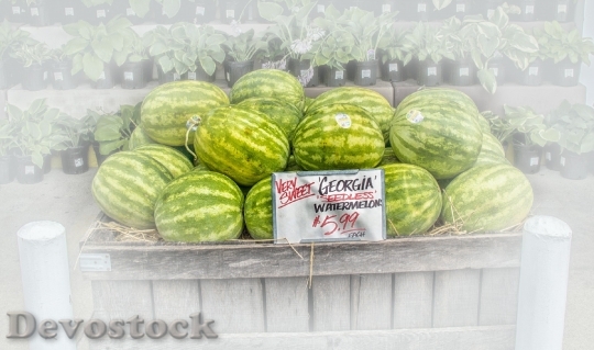 Devostock Watermelons Fruit Stand Fruit