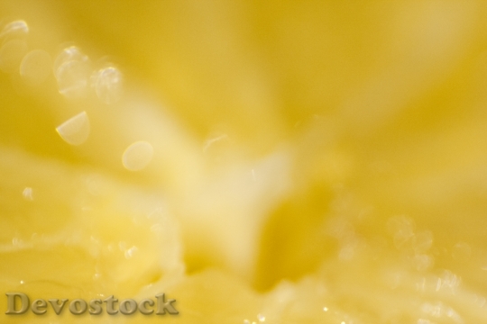 Devostock Yellow Lemon Fruit Nature