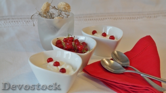 Devostock Yogurt Currants Dessert Cream 0
