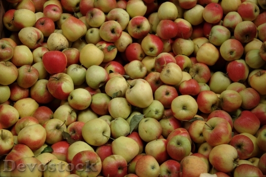 Devostock Yummy Pile Apples In