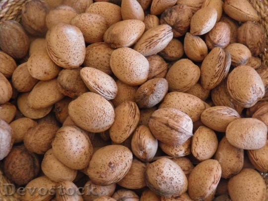 Devostock Almonds Harvest Nuts Food